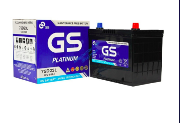 Ắc Quy GS Và Đồng Nai: Nên Chọn Thương Hiệu Nào Tốt Nhất?