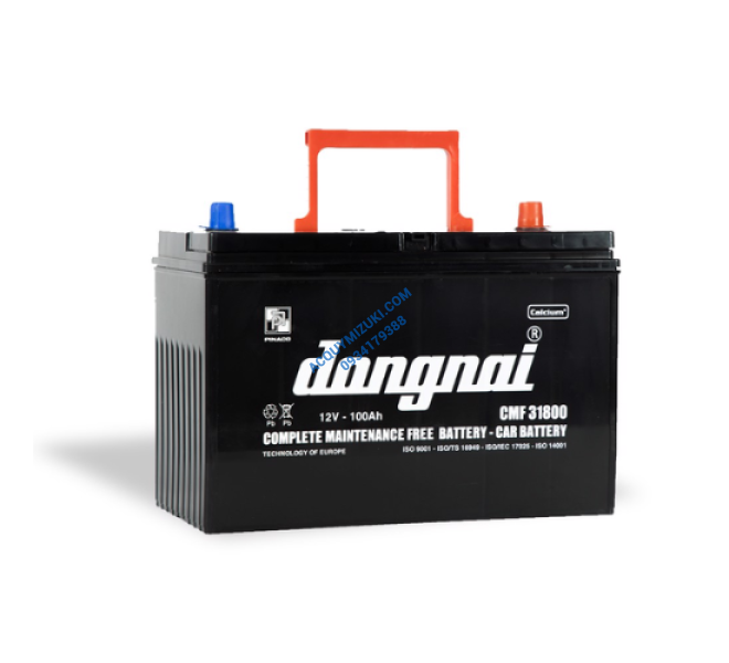 Bình ắc quy ĐỒNG NAI CMF 31800 12V 100AH