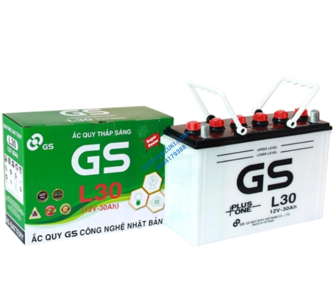 Bình ắc quy GS 12V 30AH, GS L30