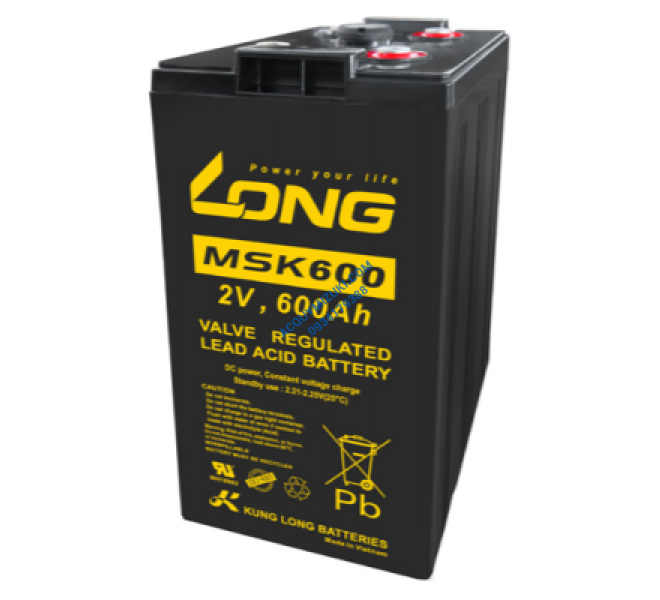 Bình ắc quy LONG MSK600, F18-M8 2V 600AH