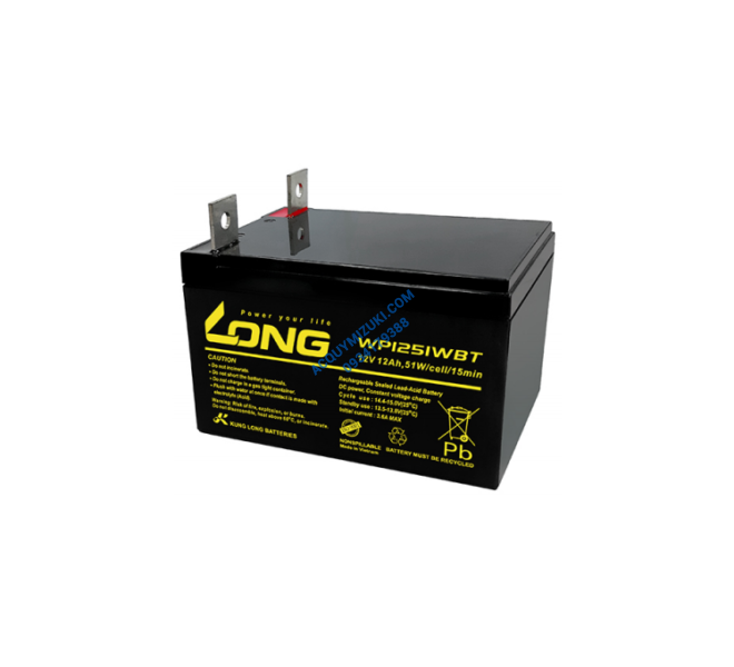 Bình ắc quy LONG WP1251WBT 12V 12Ah 51W/CELL/15MIN