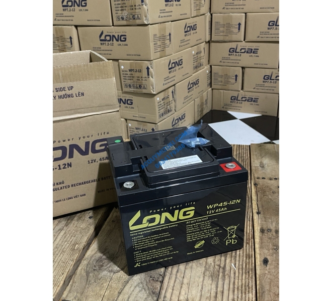 Bình ắc quy LONG WPL45-12N, F8-M6 12V 45AH