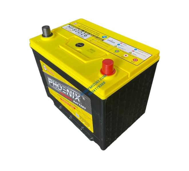 Bình ắc quy PHOENIX MF95D31FL 12V 80Ah